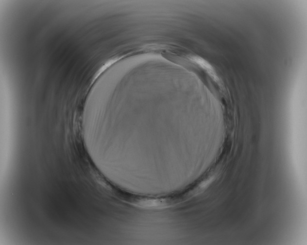 X0000086261369200704261947