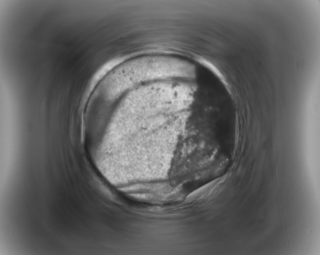 X0000086261371200704261947