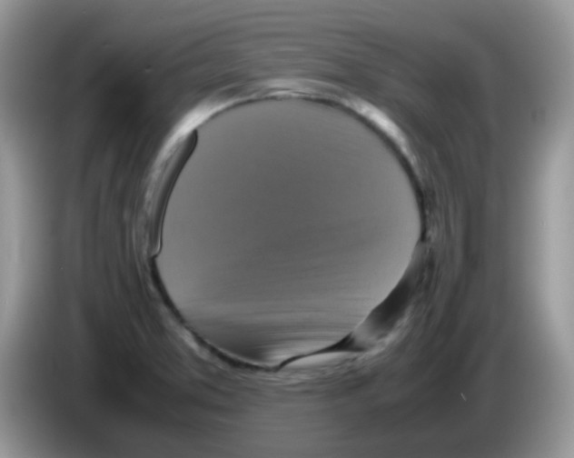 X0000086261373200704261947