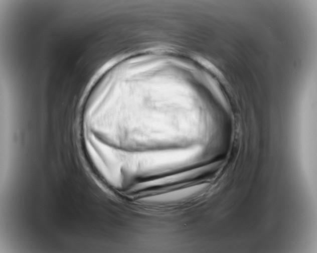 X0000086261375200704261947