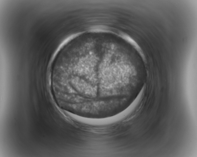 X0000086261376200704261947