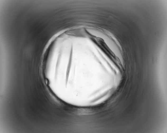 X0000086261379200704261947