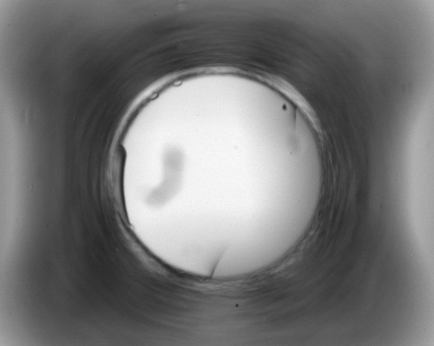 X0000086261380200704261947