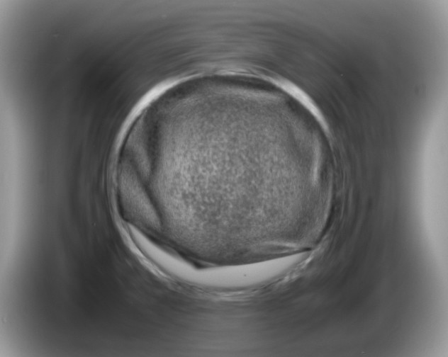 X0000086261381200704261947