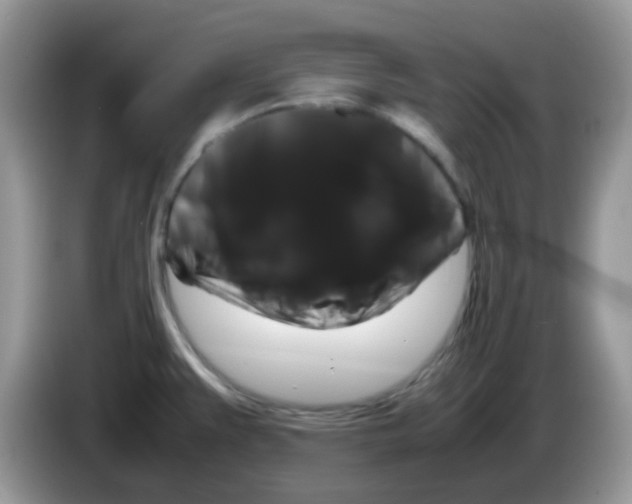 X0000086261383200704261947