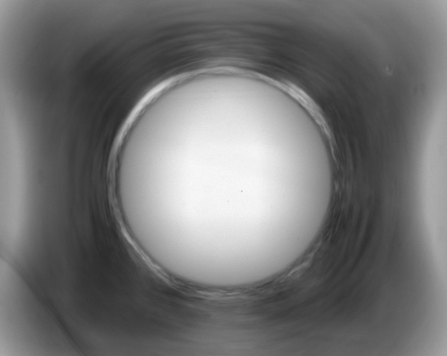 X0000086261384200704261947