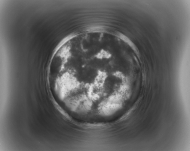 X0000086261386200704261947