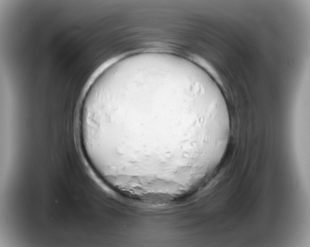 X0000086261387200704261947