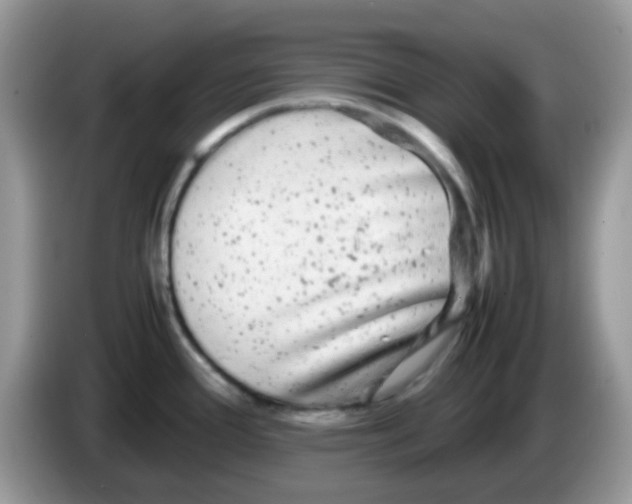 X0000086261388200704261947