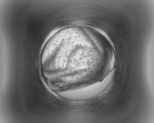 X0000086261389200704261947