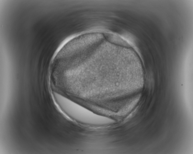 X0000086261390200704261947