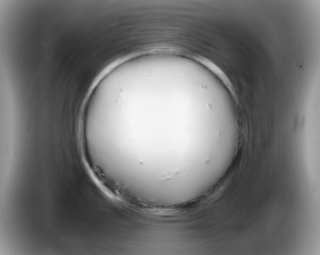 X0000086261391200704261947