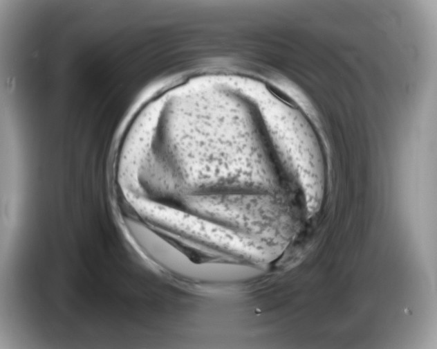 X0000086261392200704261947