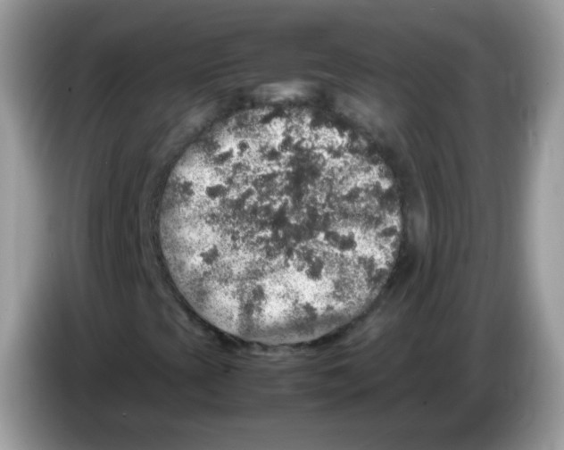 X0000086261393200704261946