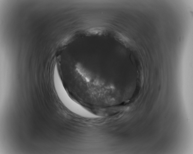 X0000086261394200704261946
