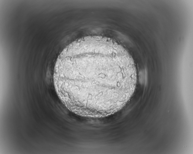 X0000086261395200704261946