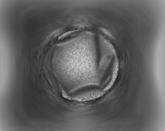 X0000086261398200704261946