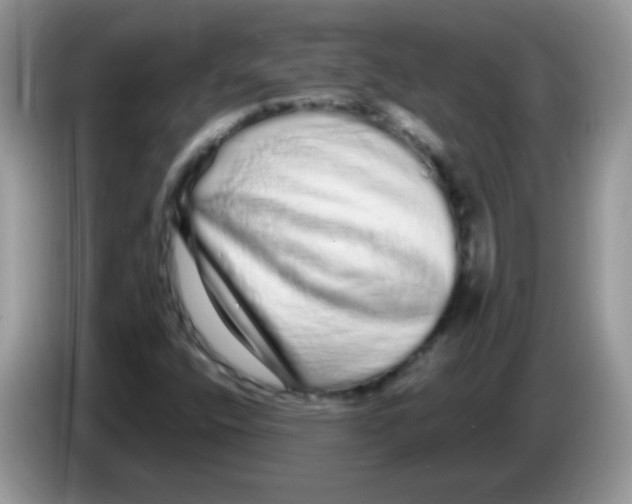 X0000086261400200704261946