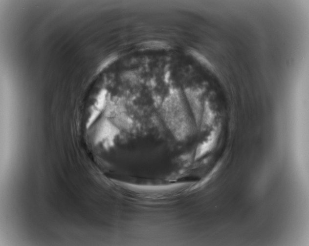 X0000086261401200704261946