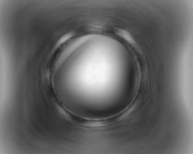 X0000086261402200704261946