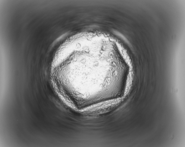 X0000086261403200704261946