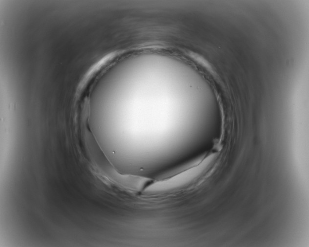 X0000086261406200704261946