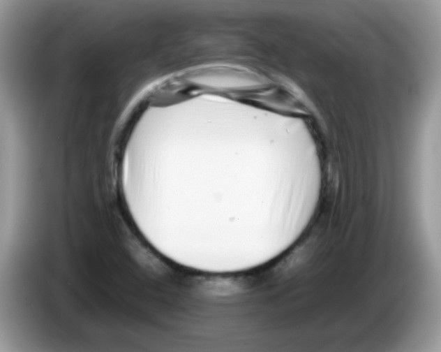 X0000086261408200704261946
