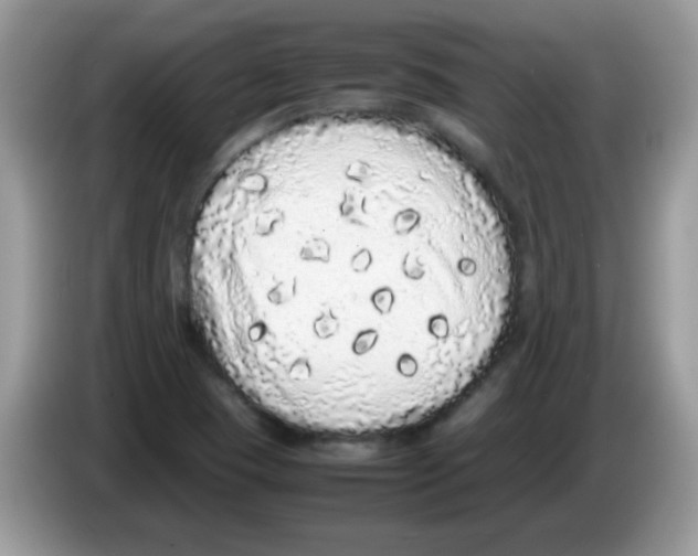 X0000086261409200704261947