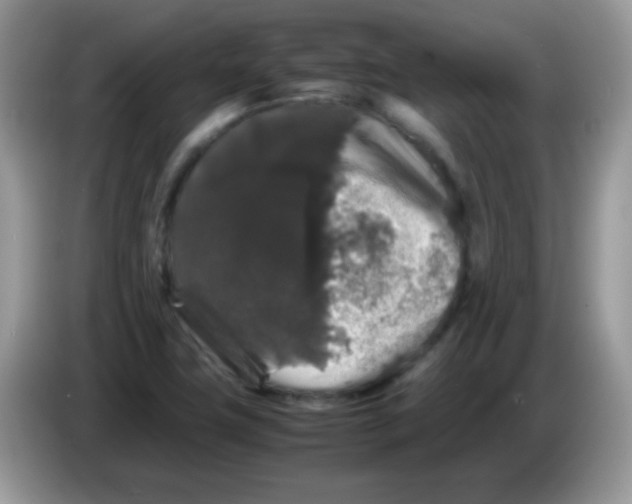 X0000086261411200704261947