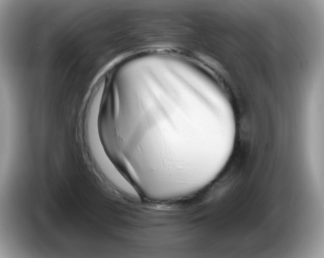 X0000086261412200704261947