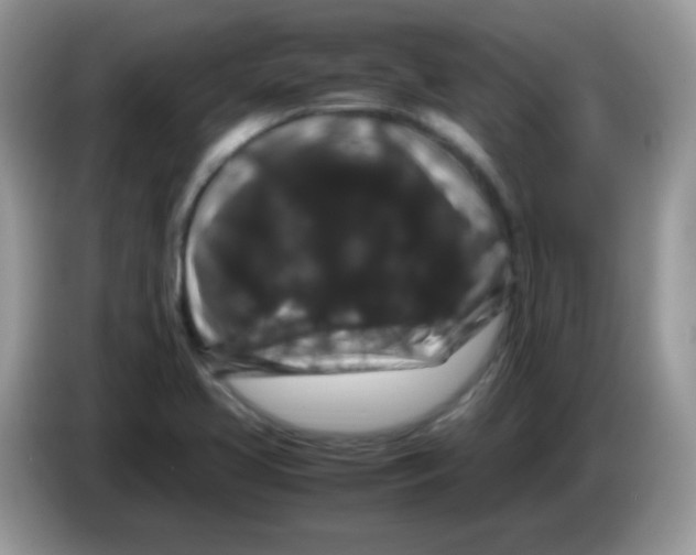 X0000086261413200704261947