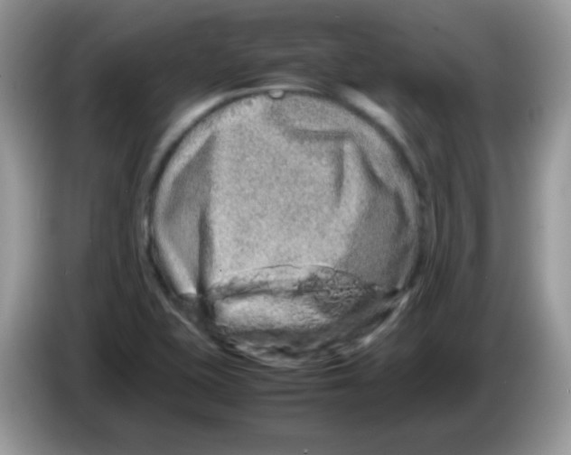 X0000086261415200704261947