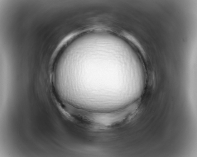 X0000086261416200704261947