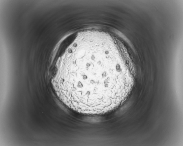 X0000086261417200704261947
