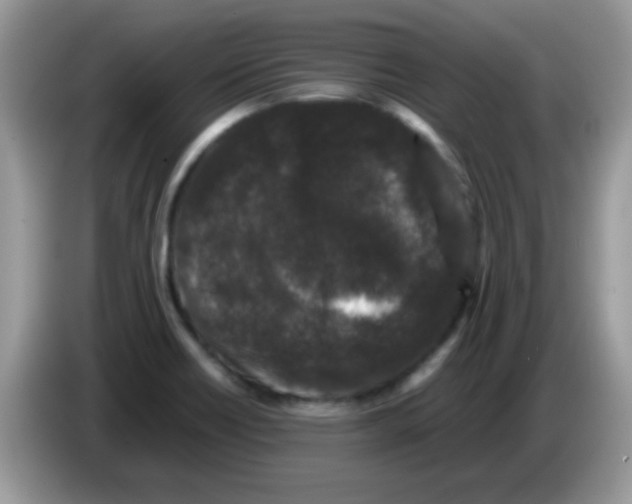 X0000086261418200704261947