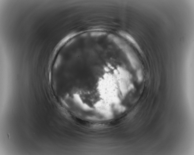 X0000086261419200704261947