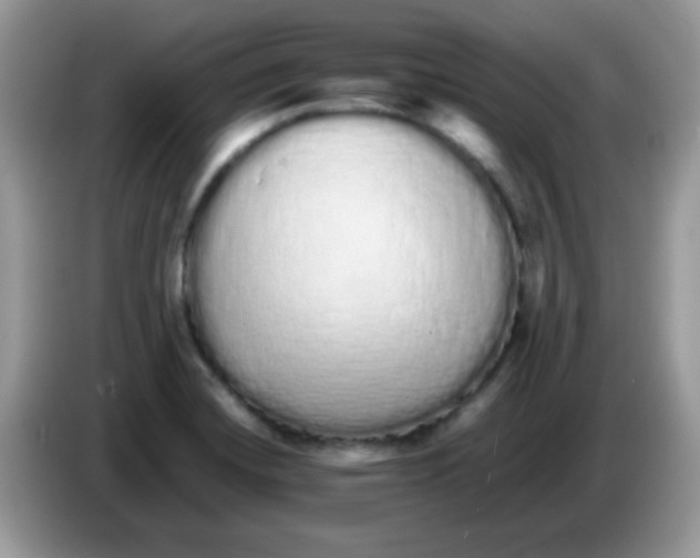 X0000086261420200704261947