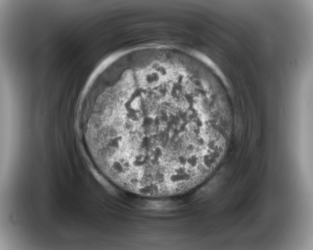 X0000086261421200704261947