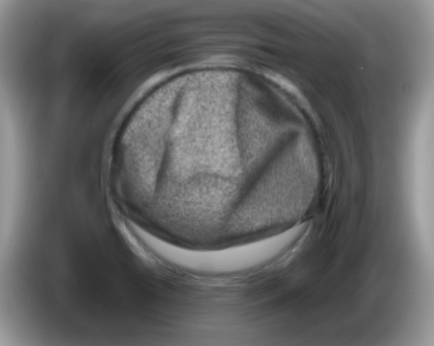X0000086261422200704261947