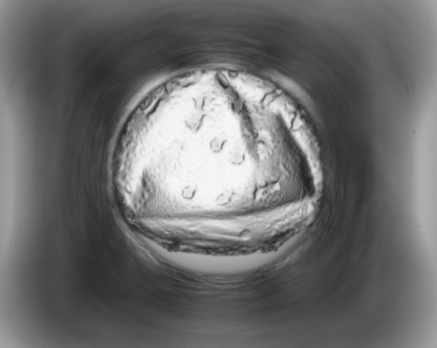 X0000086261423200704261947