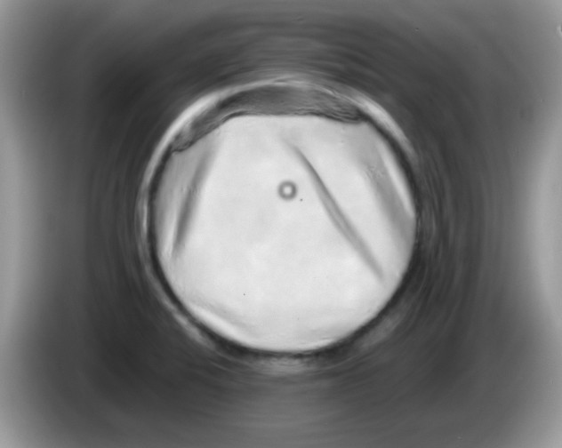 X0000086261424200704261947