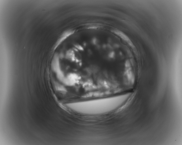 X0000086261425200704261947