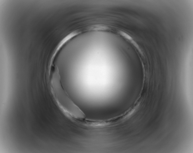X0000086261426200704261947