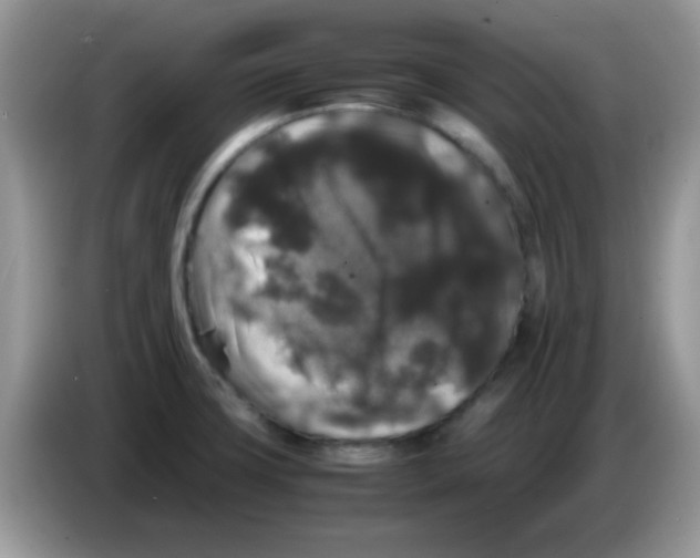 X0000086261427200704261947
