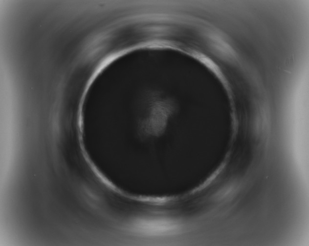 X0000086261428200704261947