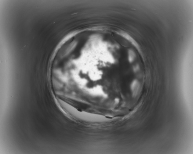 X0000086261429200704261947