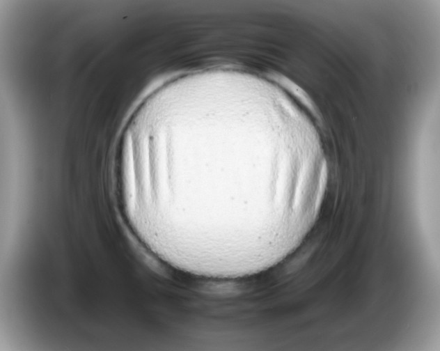 X0000086261431200704261947