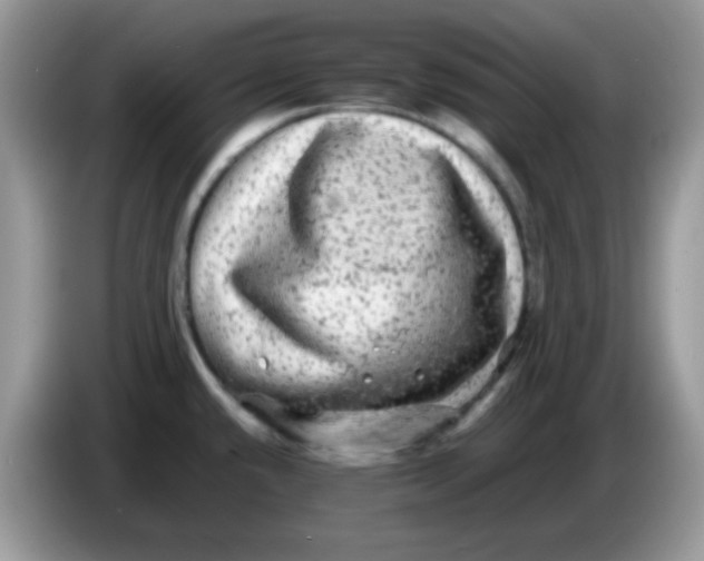X0000086261432200704261947