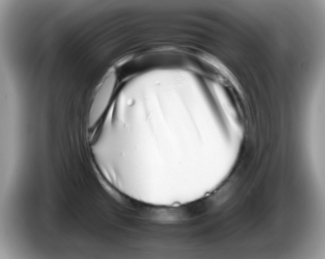 X0000086261433200704261947