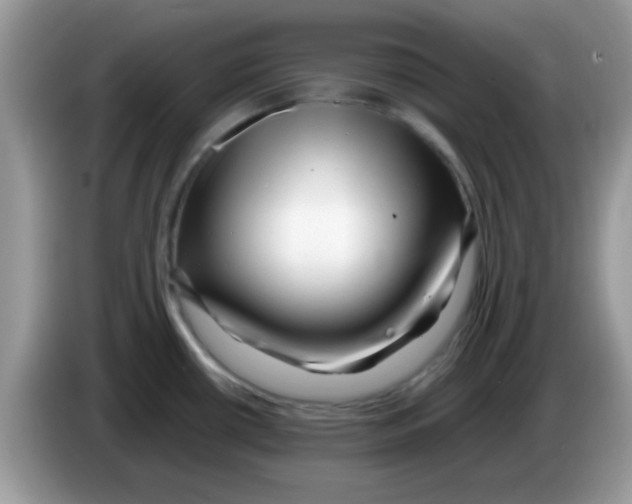 X0000086261434200704261947